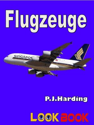 cover image of Flugzeug